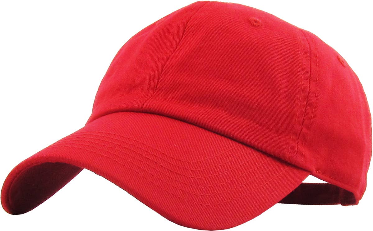Embroidered Baseball hat